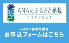ANAのふるさと納税.jpg